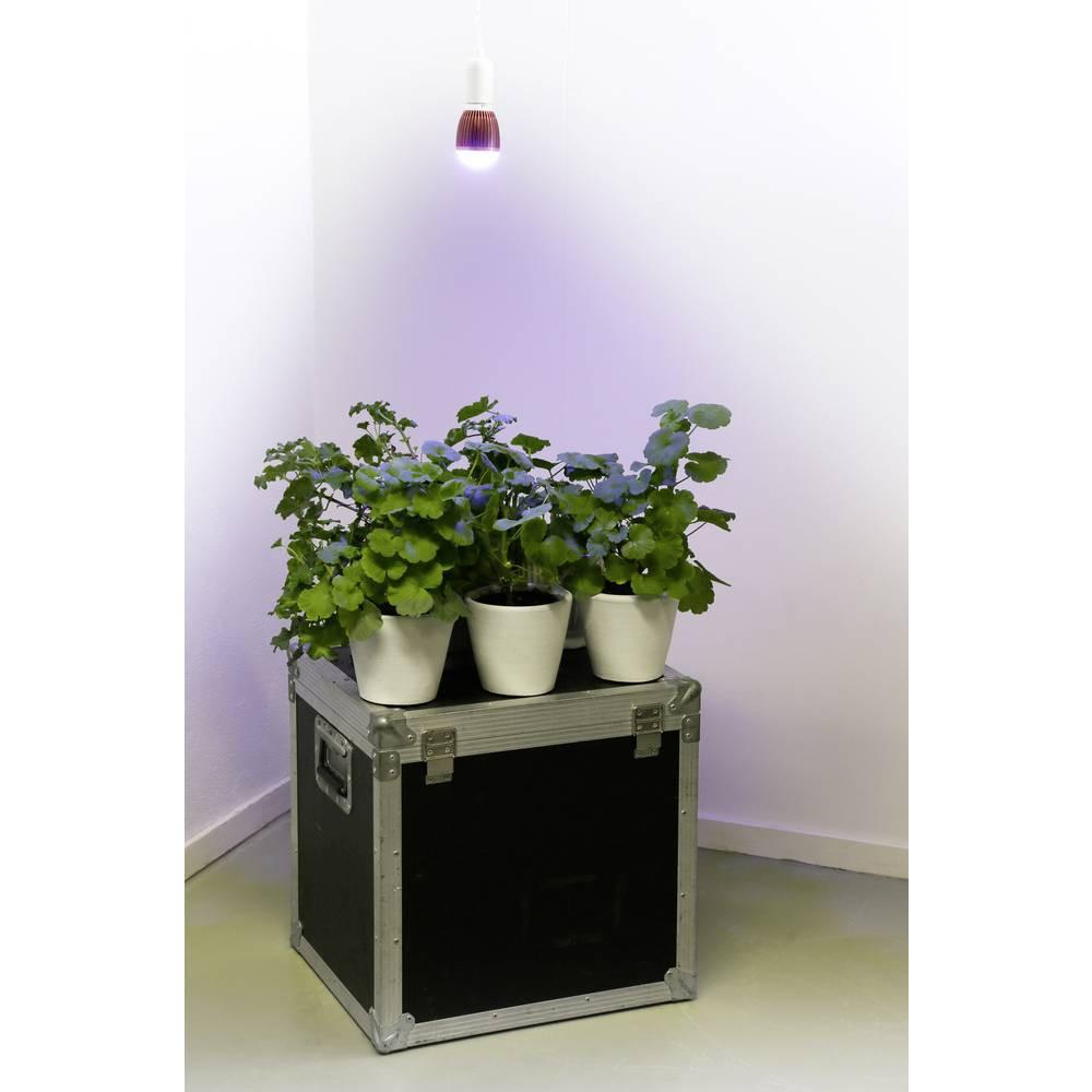 Venso Lampe pour plantes E27 hiver  