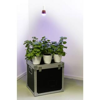 Venso Lampe pour plantes E27 hiver  