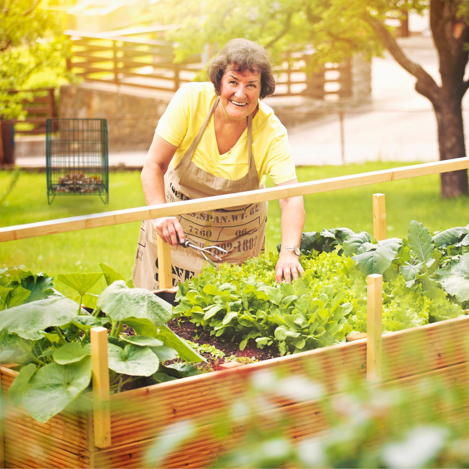 B2X Compost in metallo con griglia per pavimento  
