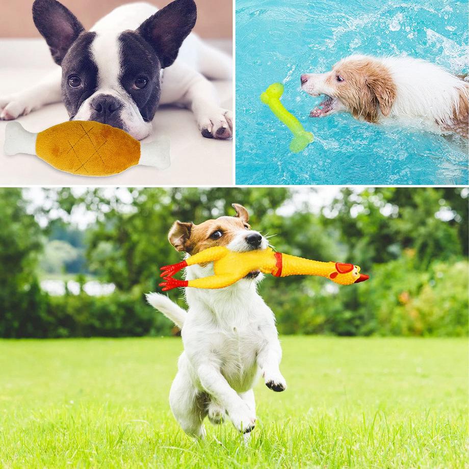 Activity-board  19 pièces Jouets de corde pour chien 