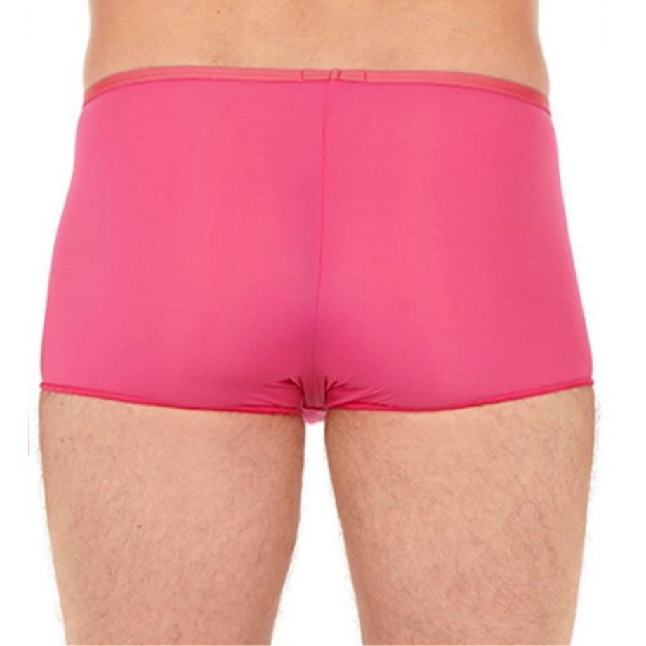 HOM Plumes Boxer  