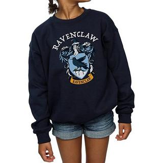 Harry Potter  Sweat 