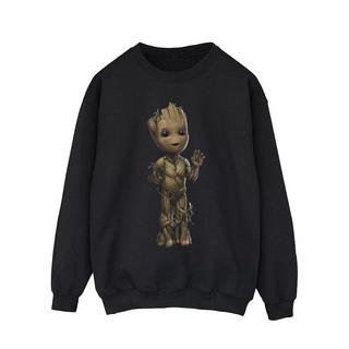 MARVEL  Sweat AM GROOT 