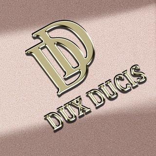 DuxDucis  Dux Ducis Hülle Xiaomi Redmi A3 