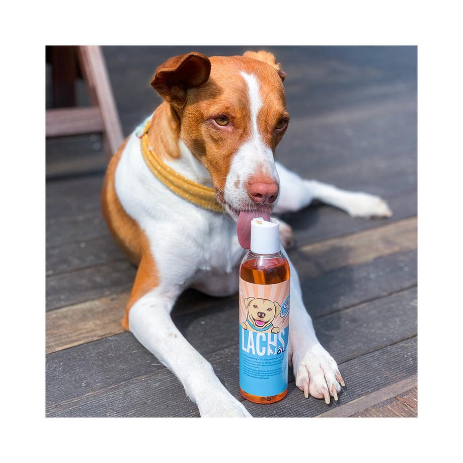 Sollis  Complément alimentaire à l'huile de saumon norvégienne 