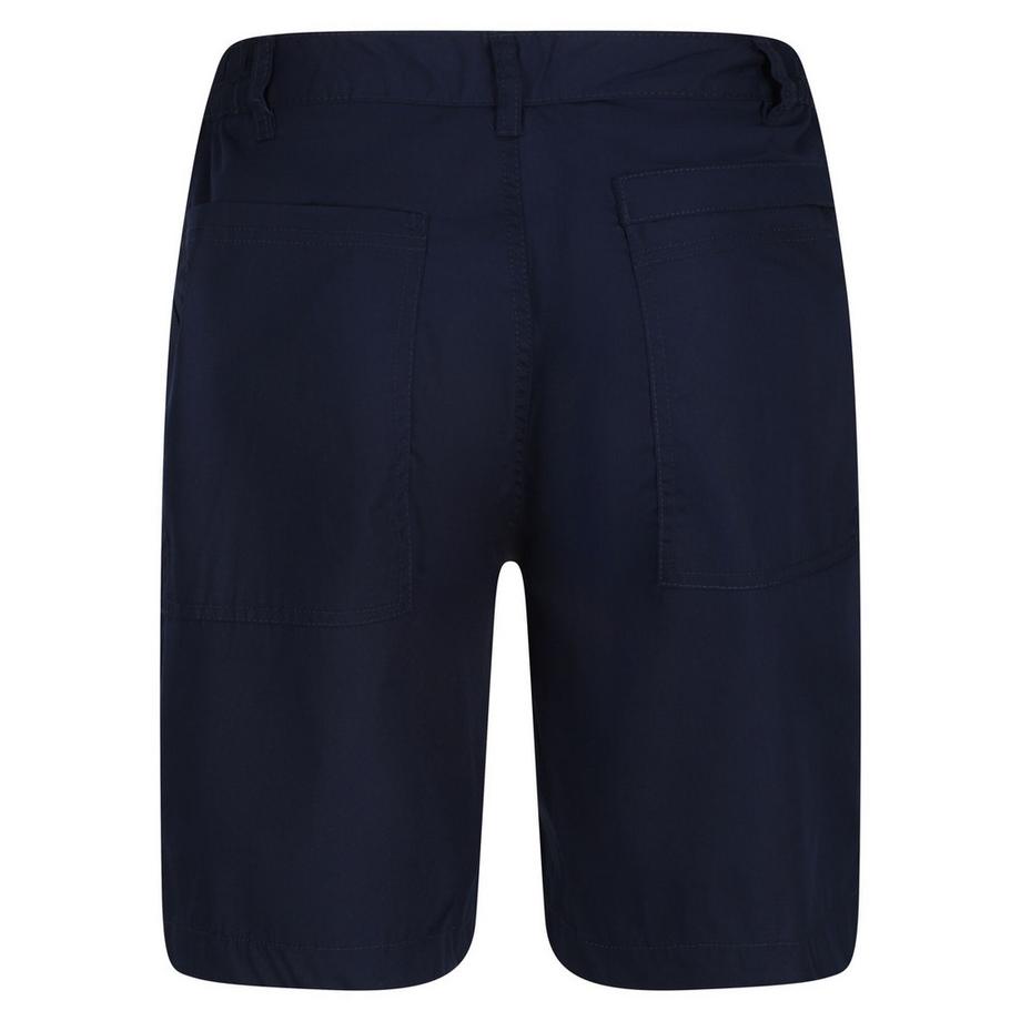 Regatta  Shorts 