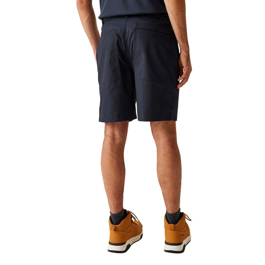 Regatta  Shorts 