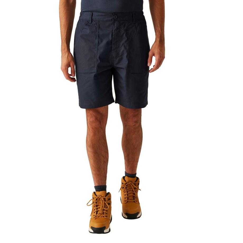 Regatta  Shorts 