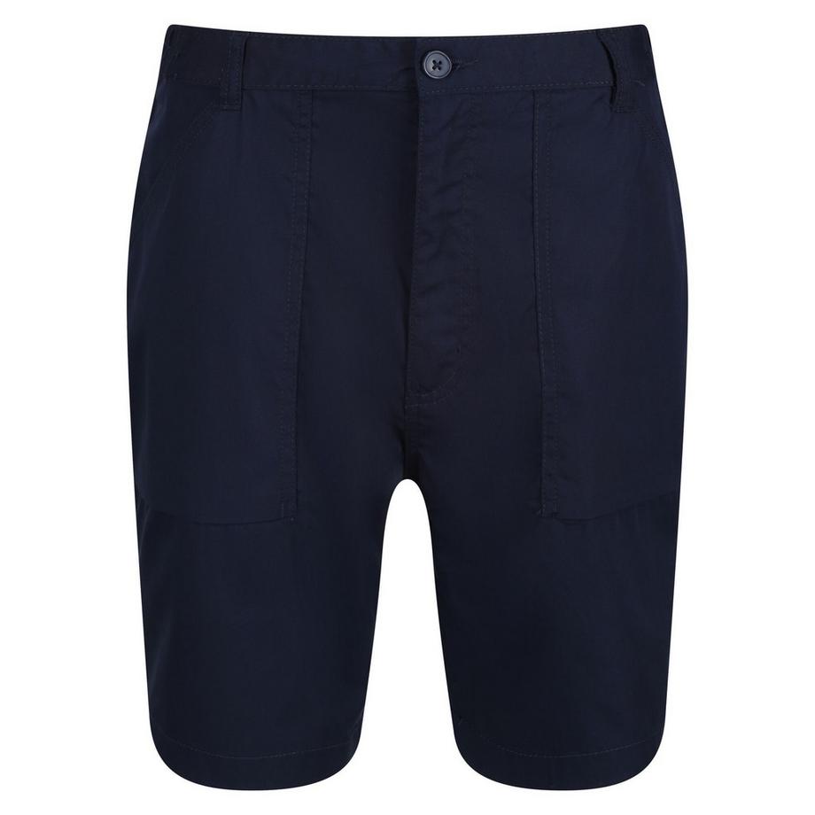 Regatta  Shorts 