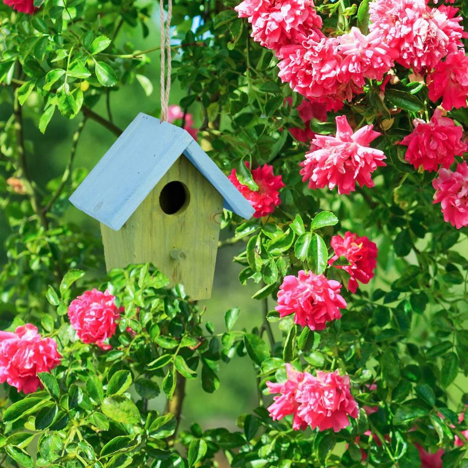 B2X  Casetta per uccelli decorativa 
