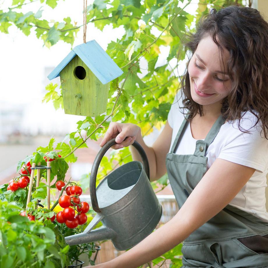 B2X  Casetta per uccelli decorativa 