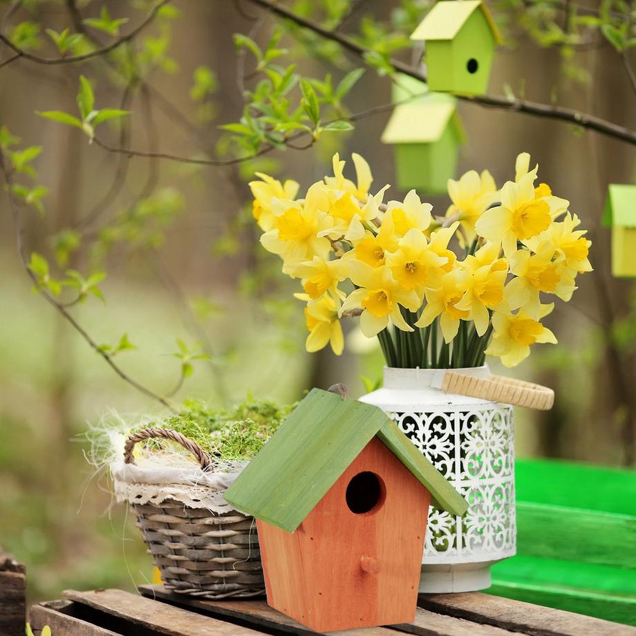 B2X  Casetta per uccelli decorativa 