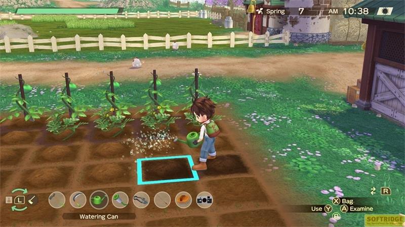 Marvelous  Story of Seasons: A Wonderful Life 