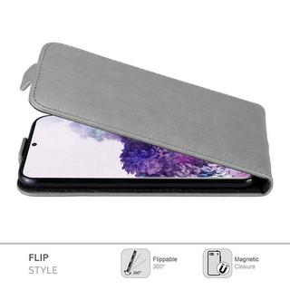 Cadorabo  Housse compatible avec Samsung Galaxy S20 - Coque de protection au design flip avec fermeture magnétique 