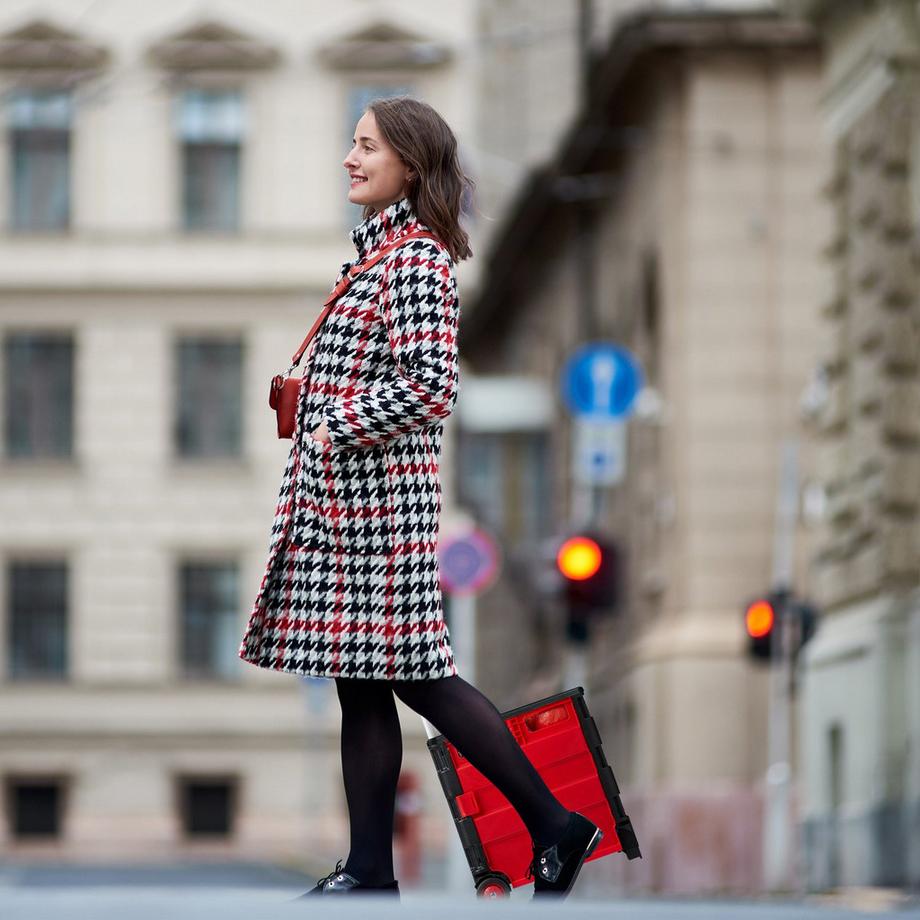 B2X  Carrello della spesa pieghevole 