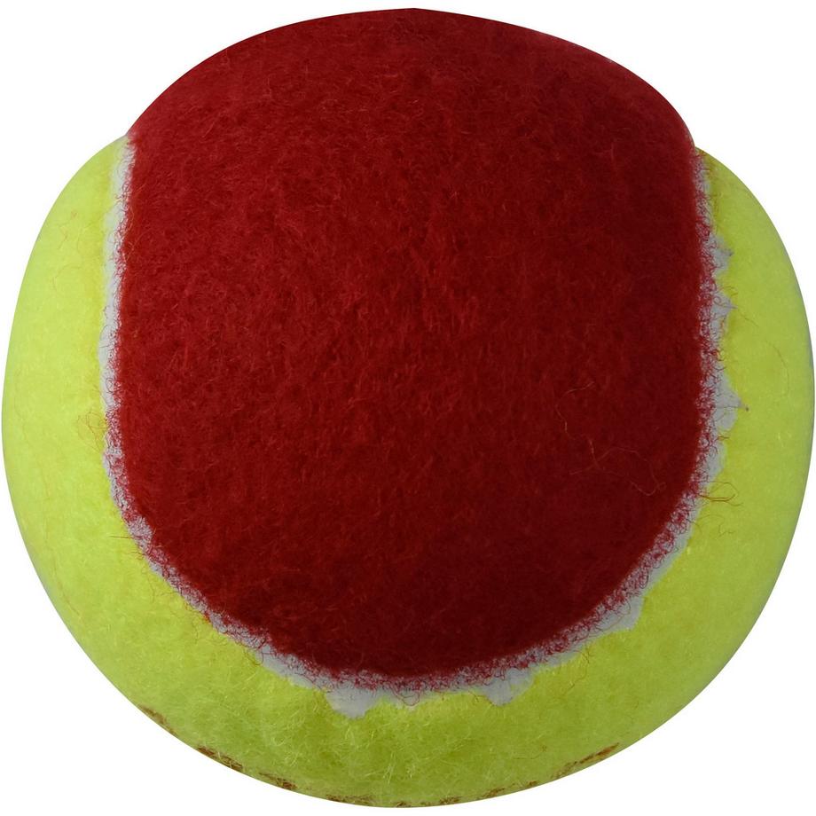 ARTENGO  Tennisball - TB100 