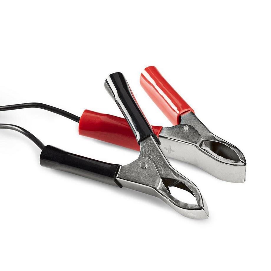 Nedis  Chargeur de batterie plomb-acide | 2.3 / 6.9 / 13.8 V DC | 0.6 A | Charge d'entretien | Euro / Type C (CEE 7/16) | Clips de batterie | Energie de type de batterie : AGM / Plomb Acide / Gel / SLA / VRLA | Noir 