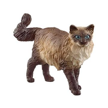 Farm World Ragdoll Katze