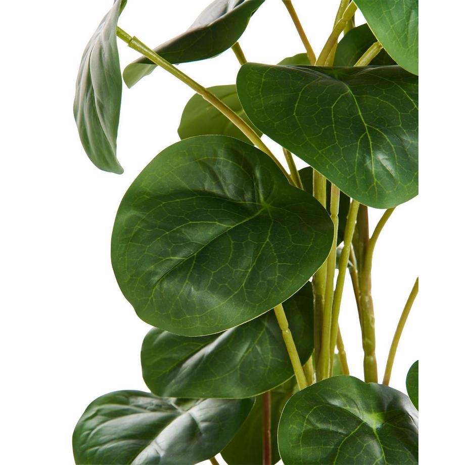 Beliani Plante artificielle en Matière synthétique Rétro KIBETI  