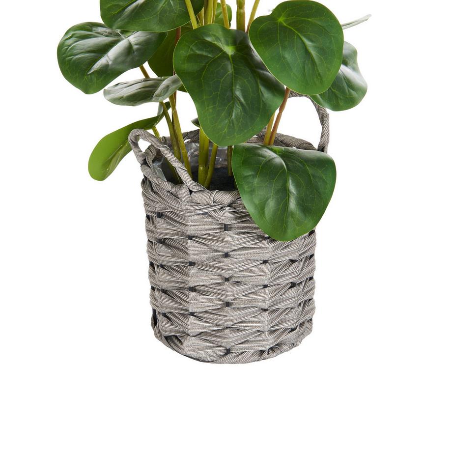 Beliani Plante artificielle en Matière synthétique Rétro KIBETI  