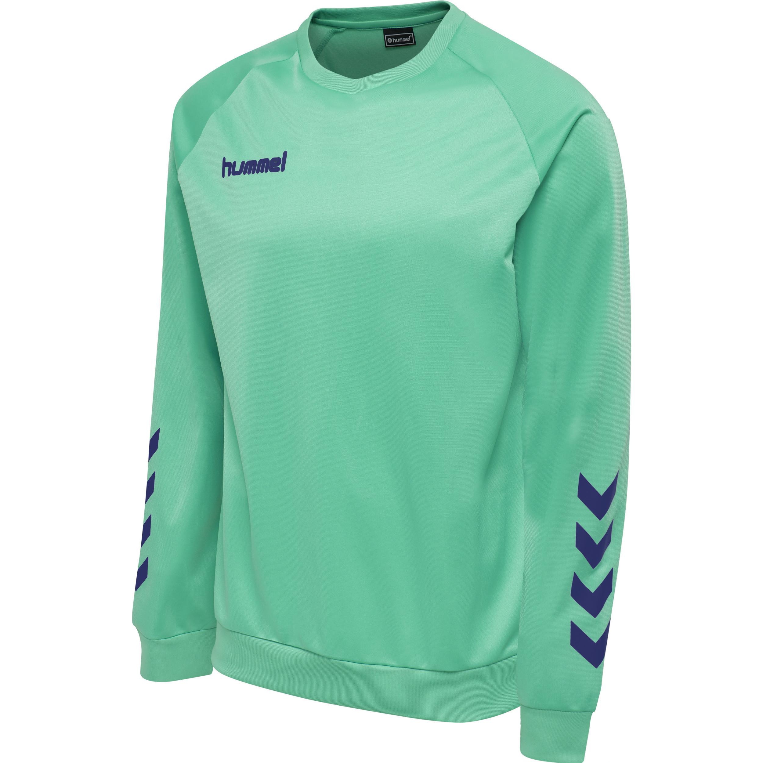 Hummel  sweatshirt hmlpromo poly 