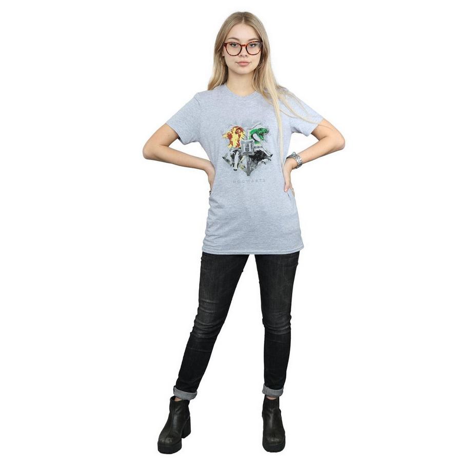Harry Potter Hogwarts T-Shirt  