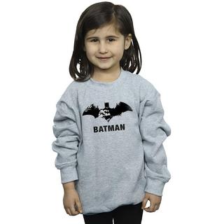 DC COMICS  Sweatshirt 