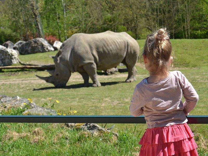 Smartbox  1 giorno allo ZooParc de Beauval per 1 adulto e 2 bambini - Cofanetto regalo 