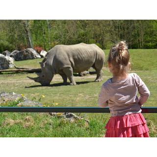 Smartbox  1 giorno allo ZooParc de Beauval per 1 adulto e 2 bambini - Cofanetto regalo 