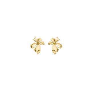 Luxenter  Boucle d'Oreilles Haiqua 