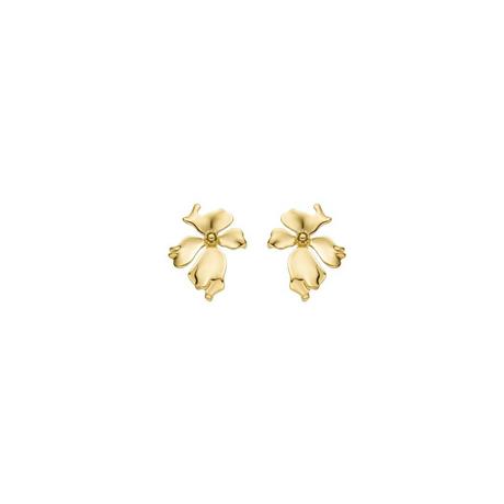 Luxenter  Boucle d'Oreilles Haiqua 