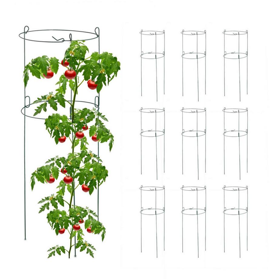 Supporti rotondi per arrampicata in set da 10