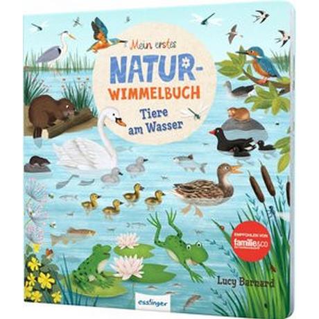 Mein erstes Natur-Wimmelbuch: Tiere am Wasser Schumann, Sibylle; Barnard, Lucy (Illustrationen) Couverture rigide 