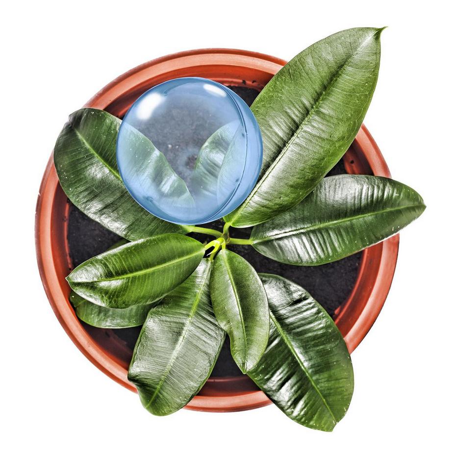 B2X  Palloncini d'acqua - set da 6 