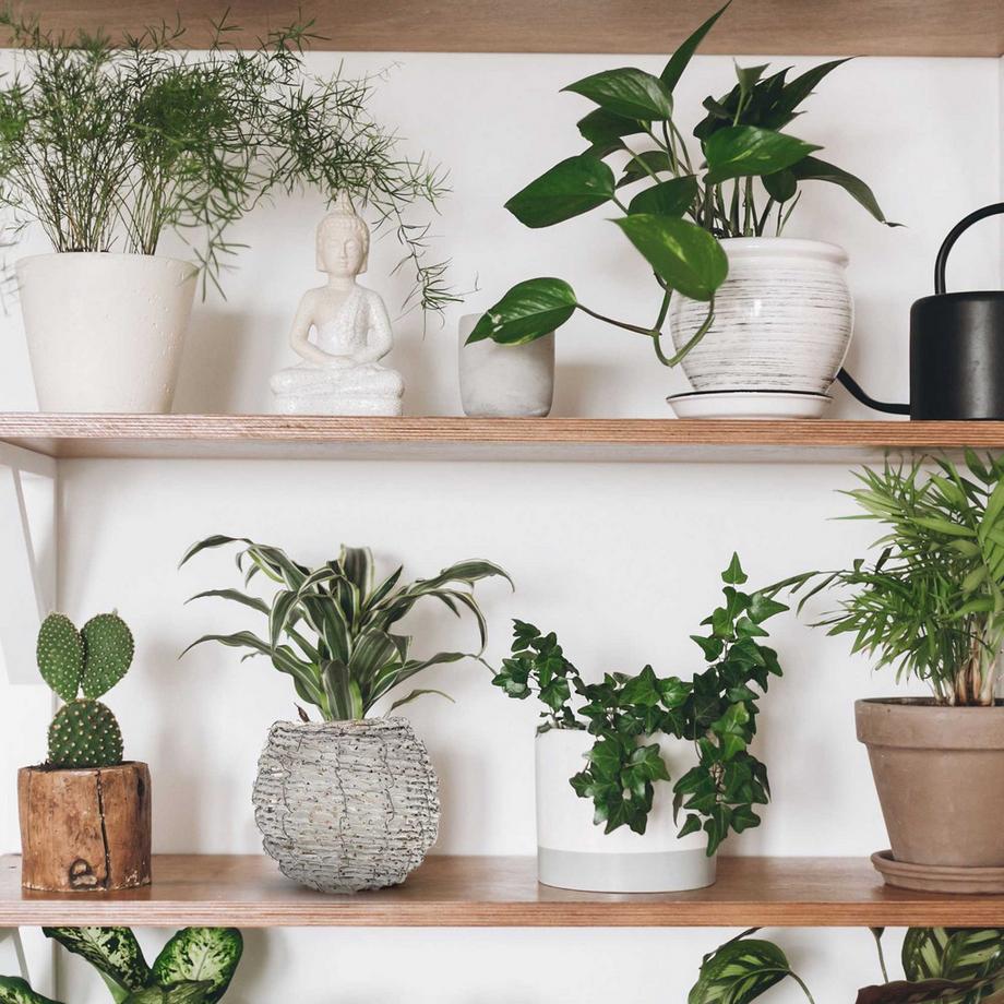 B2X Pot de fleurs rond - lot de 2  