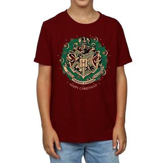 Harry Potter  Tshirt 