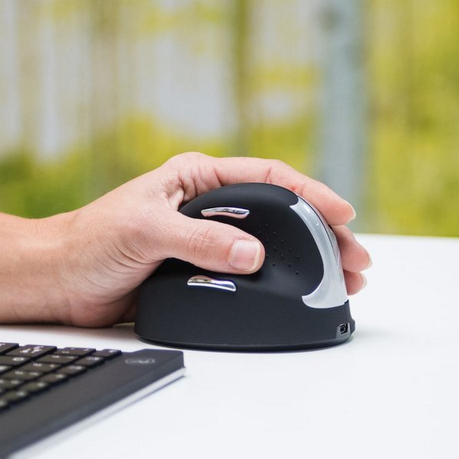 R-GO-Tools  R-Go Tools R-Go HE Mouse, Ergonomische Maus, Mittel (Handlänge 165-185mm), linkshändig, drahtlose 