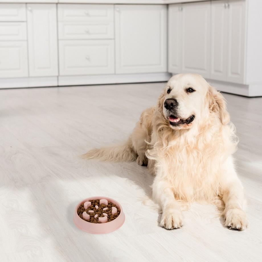 B2X  Anti-Schleuder-Schüssel 600 ml 