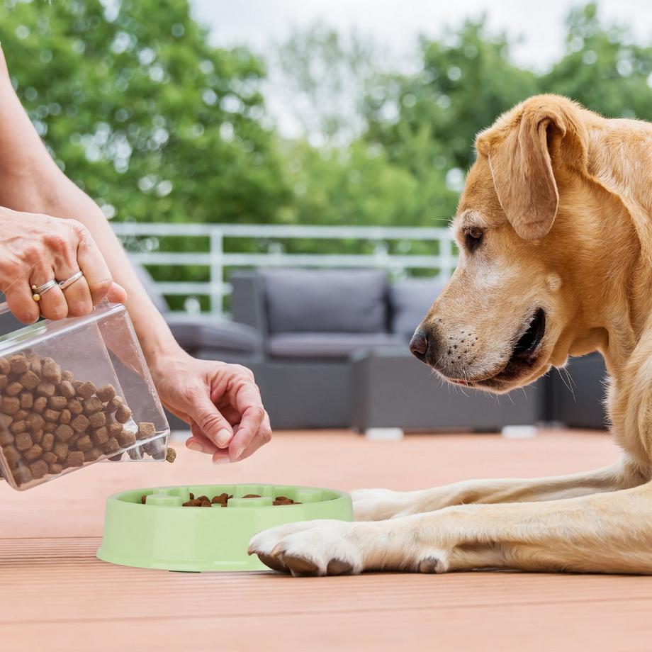 B2X  Anti-Schleuder-Schüssel 600 ml 