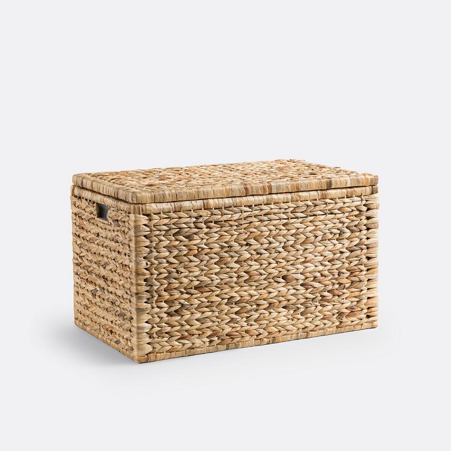 Wasserhyazinthen-Koffer