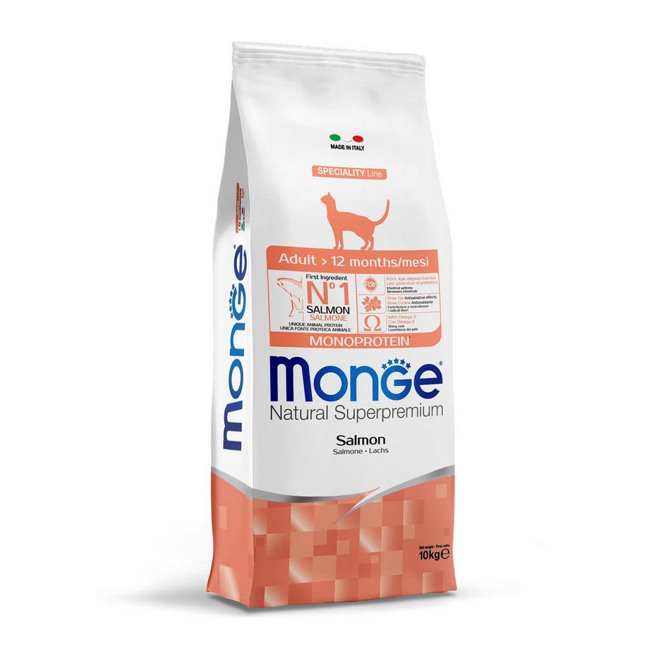 Chat Adulte Saumon