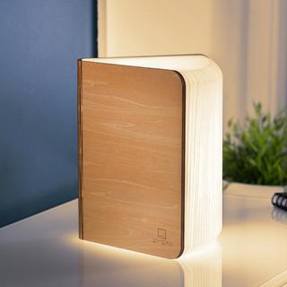 Gingko Design Gingko Design - "Book Lamp"  