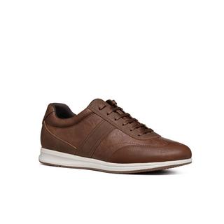 GEOX  sneakers avery 