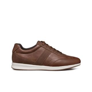 GEOX  sneakers avery 