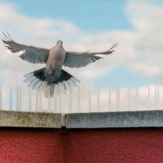 B2X Vogelabwehr-Spikes, 4er-Set  