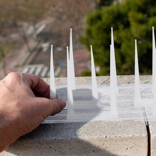 B2X Vogelabwehr-Spikes, 4er-Set  