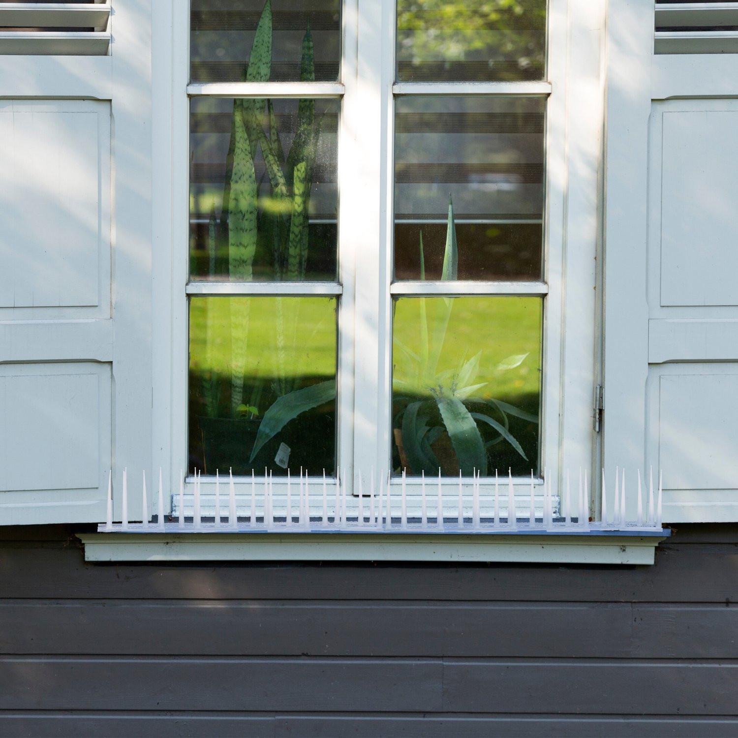 B2X Vogelabwehr-Spikes, 4er-Set  