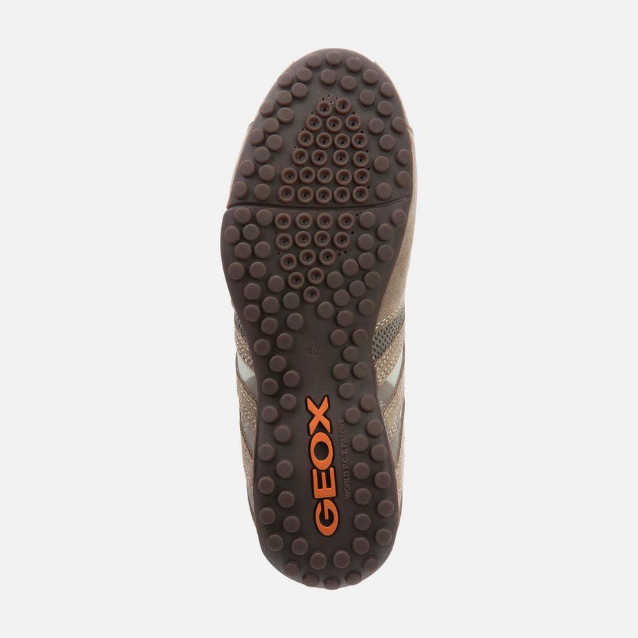 GEOX Snake Sneakers  