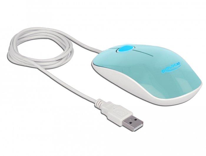 DeLock  12538 mouse Ambidestro USB tipo A Ottico 1200 DPI 