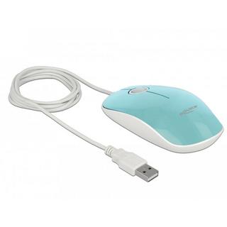 DeLock  12538 Maus Beidhändig USB Typ-A Optisch 1200 DPI 